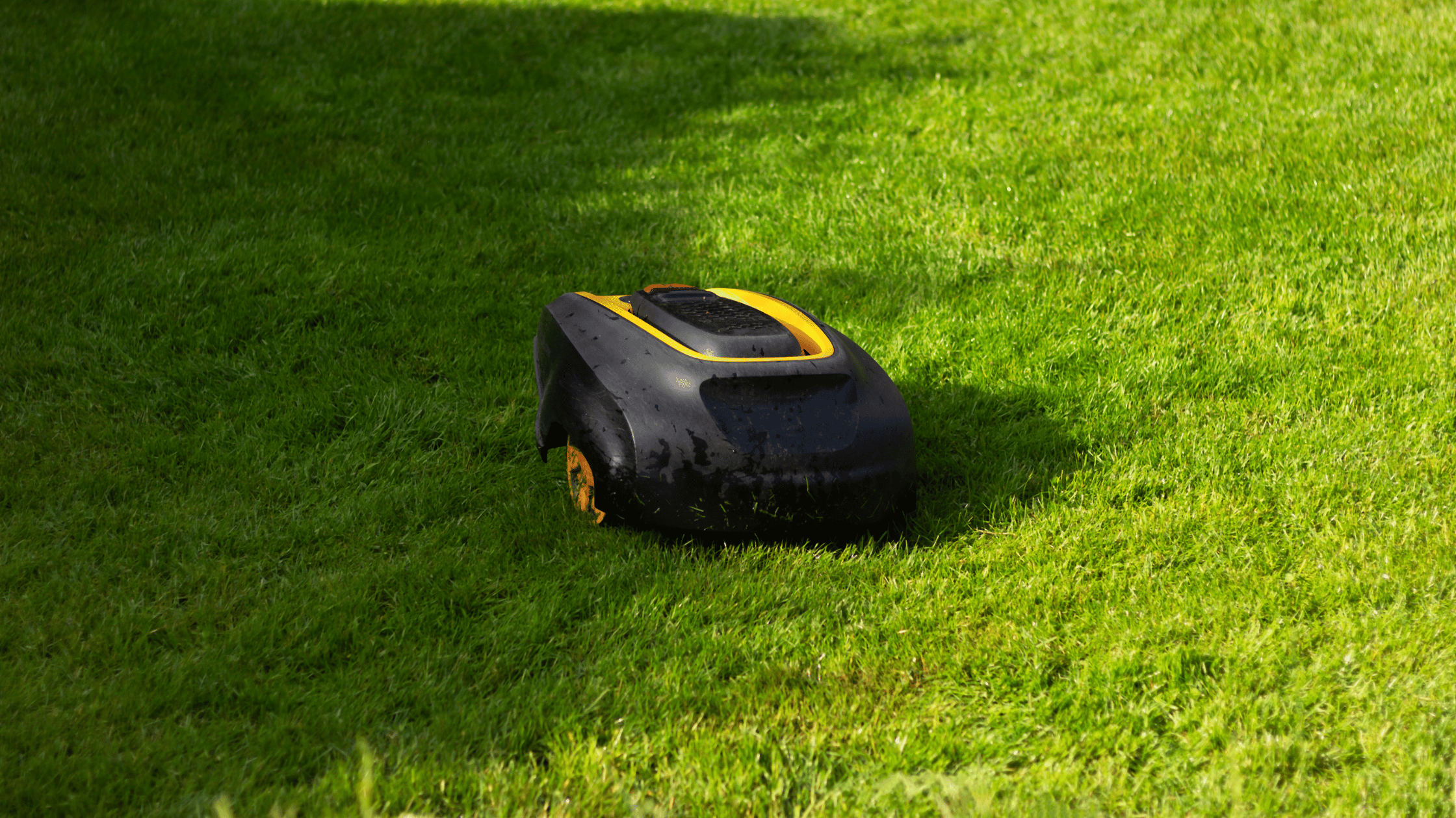 Mähroboter unter 1.000 €: lohnt es sich noch im 2026?